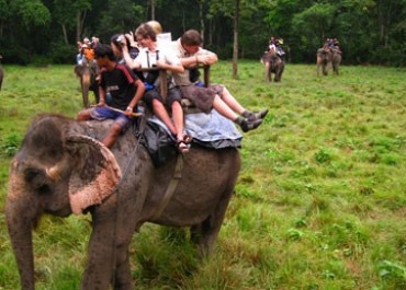 Chitwan  Jungle Safari Tour